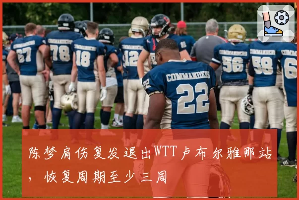 陈梦肩伤复发退出WTT卢布尔雅那站,恢复周期至少三周