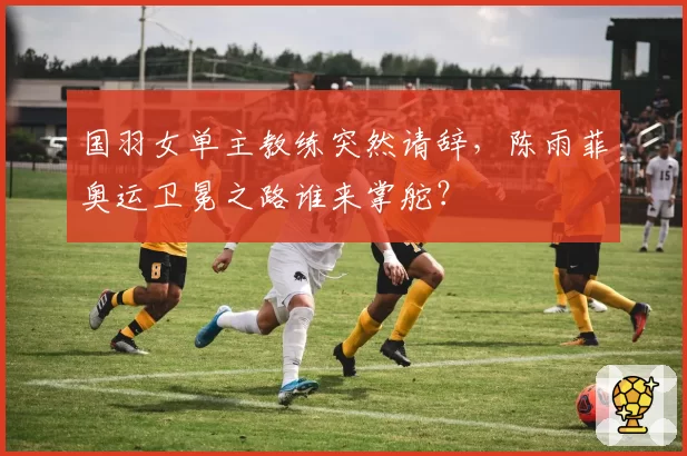 国羽女单主教练突然请辞，陈雨菲奥运卫冕之路谁来掌舵？