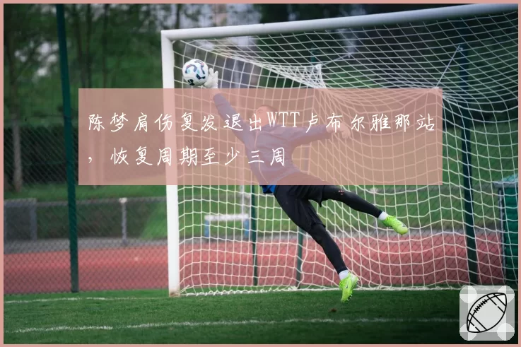 陈梦肩伤复发退出WTT卢布尔雅那站，恢复周期至少三周