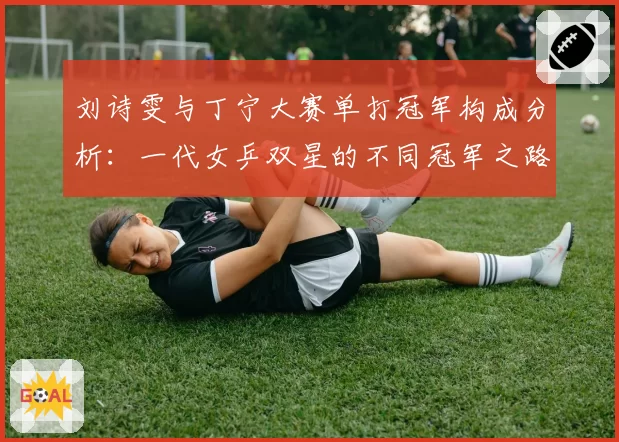 刘诗雯与丁宁大赛单打冠军构成分析：一代女乒双星的不同冠军之路